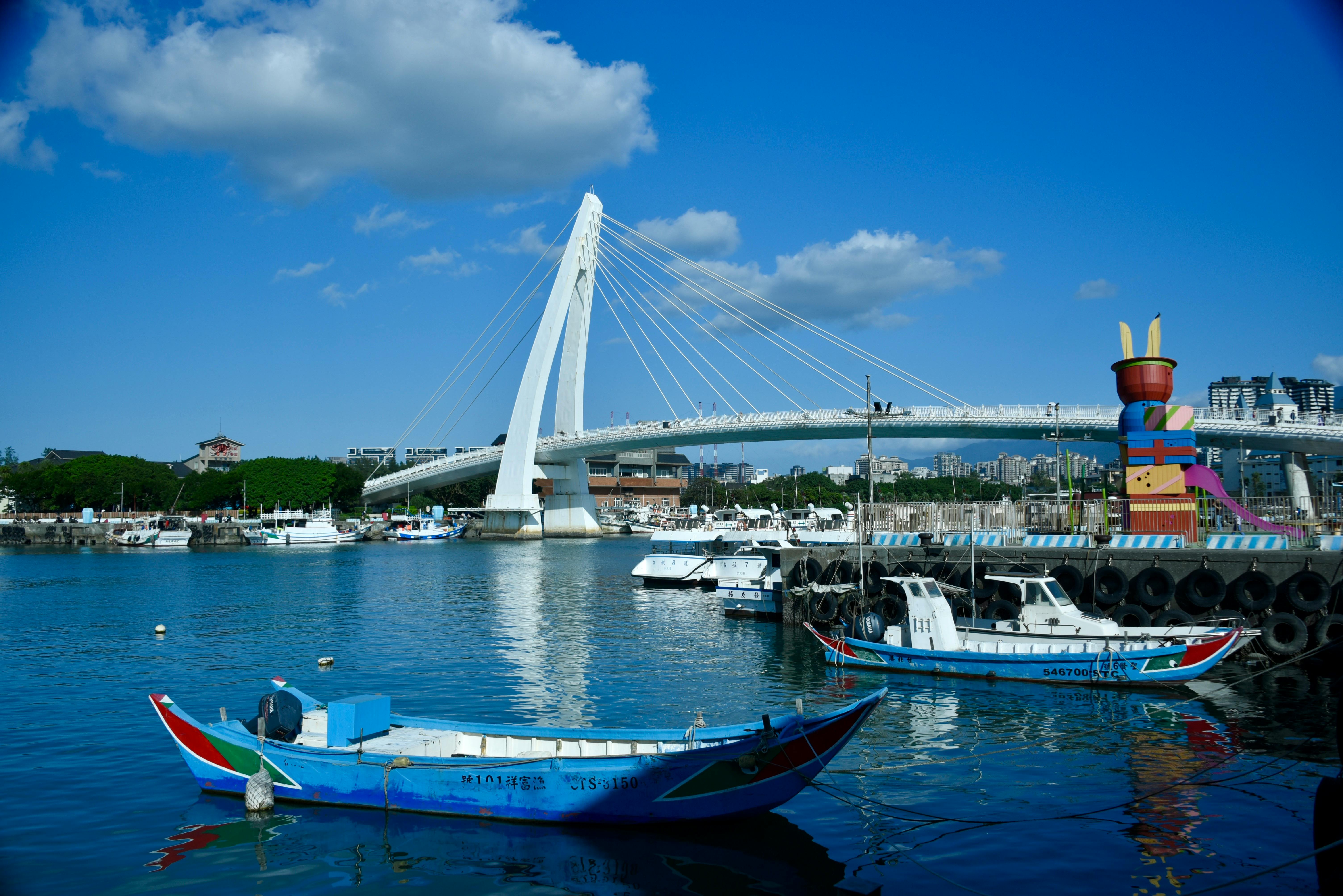 國際局勢劇變，專家深入解析台灣因應策略