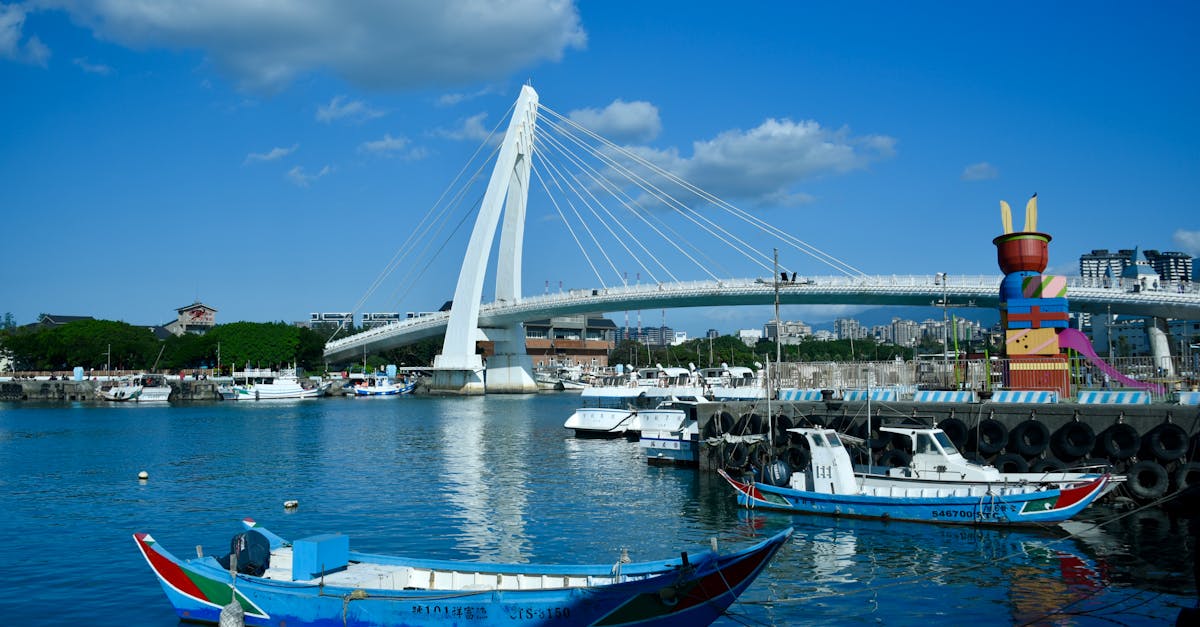 國際局勢劇變,專家深入解析台灣因應策略