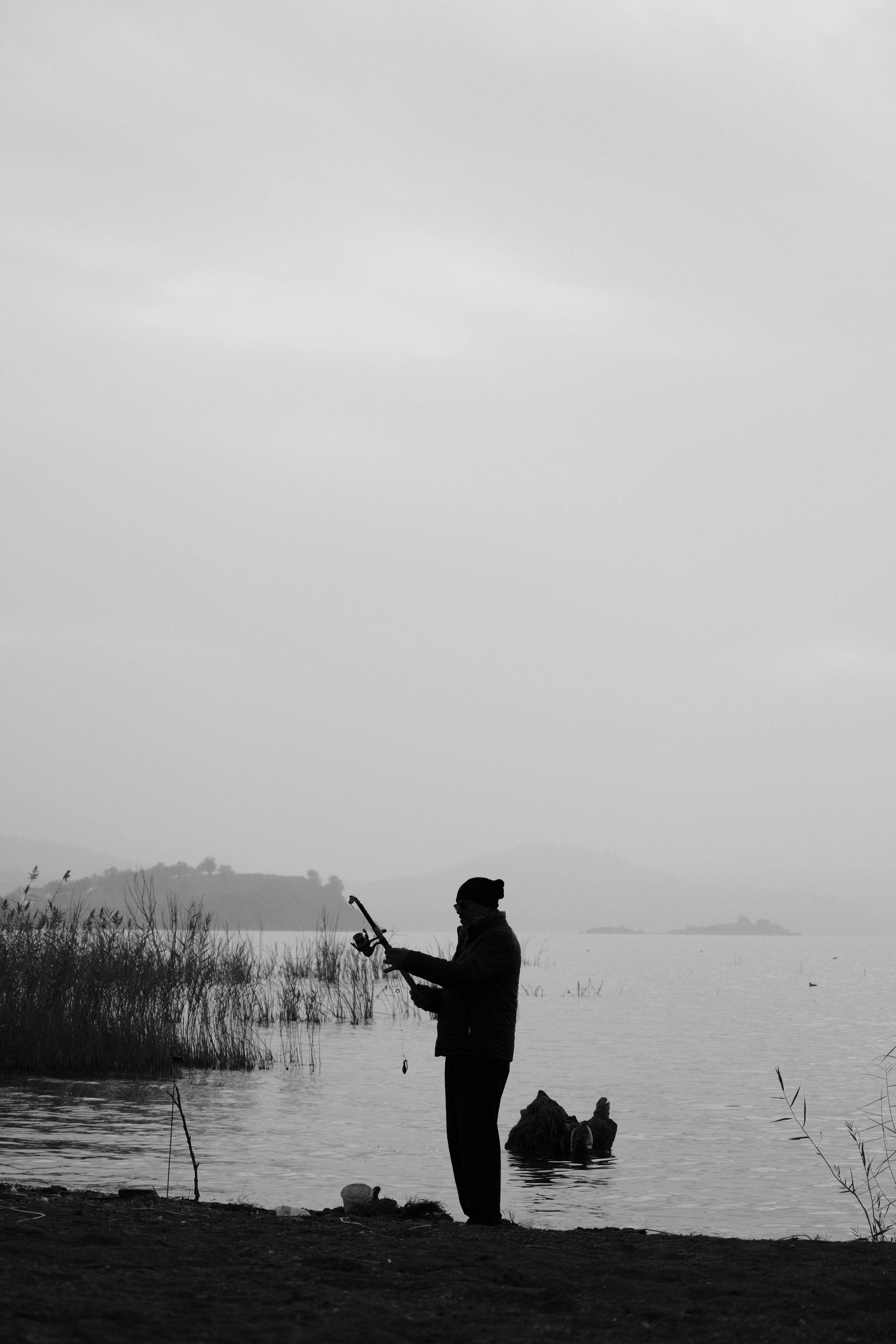 things to do in shaver lake