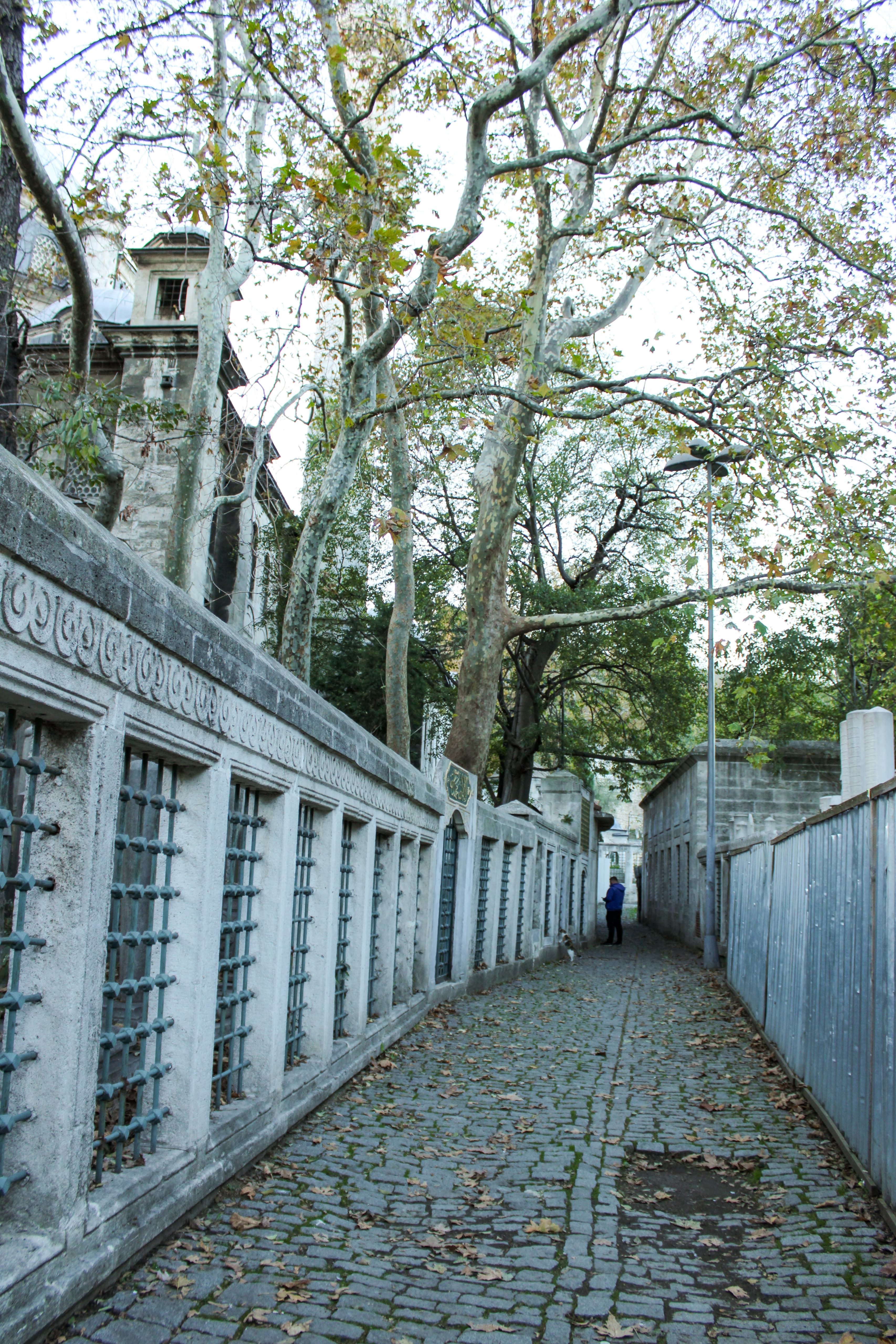 Narrow Cobblestone Pathway Surrounded by Historic Walls · Free Stock Photo