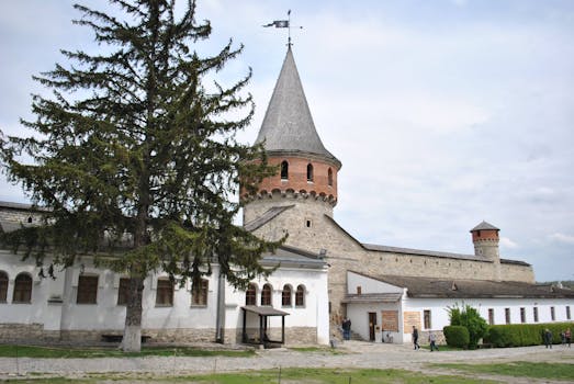 Palmyra, Syria photo 21