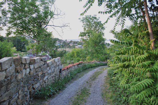A peaceful dirt path in a rural village landscape bordered by lush greenery and stone wall.