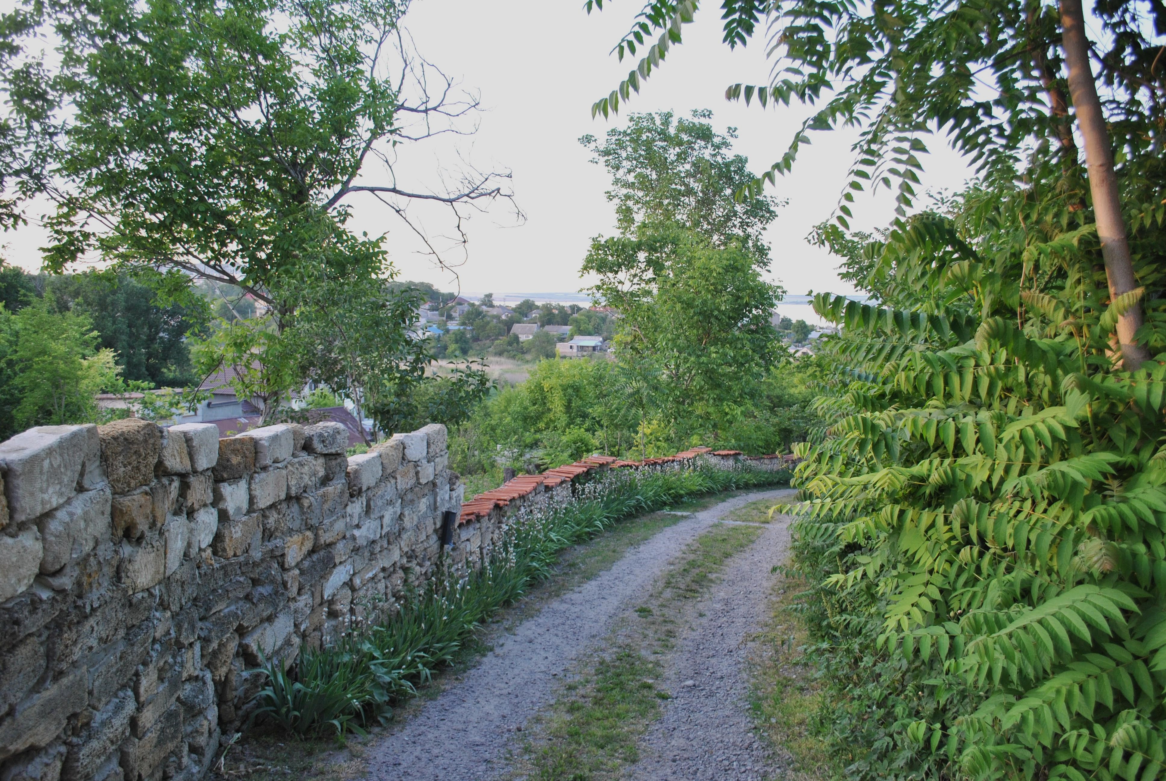 Rustic Village Path Lined with Stone Wall · Free Stock Photo