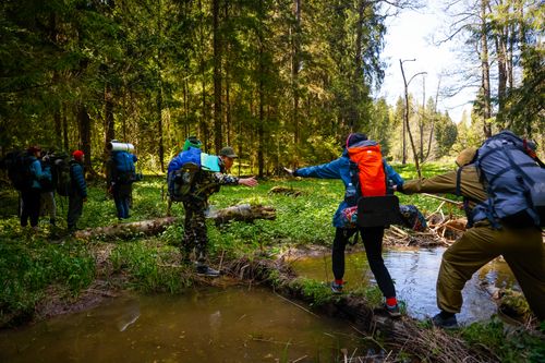 Free A group of hikers with backpacks navigate a stream in a lush green forest. Stock Photo