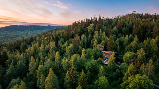 Scenic aerial view of a modern cabin nestled in the lush, green landscape of the Ural Mountains at sunset.