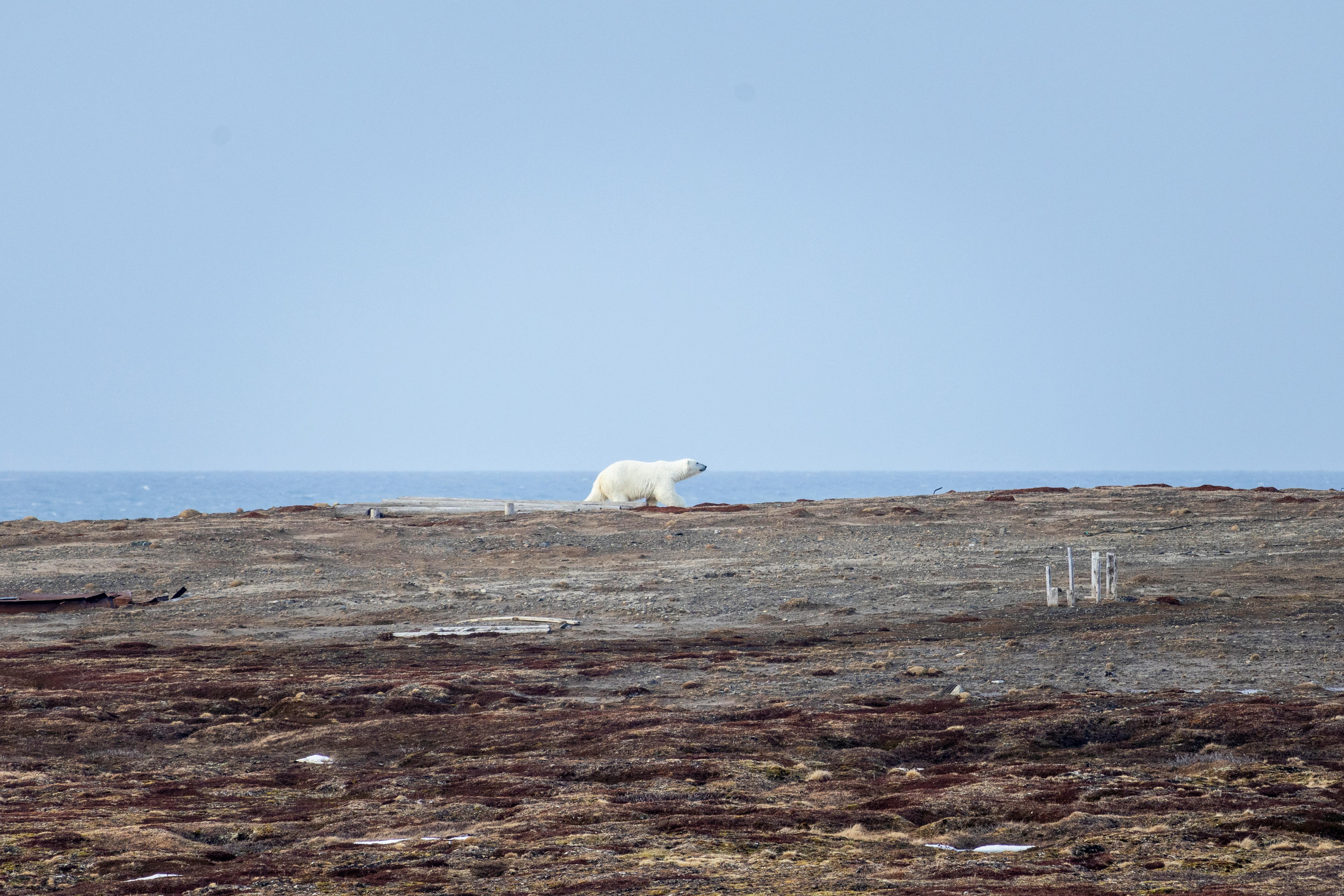 國際：全球多國攜手應對氣候變遷，達成新減排共識