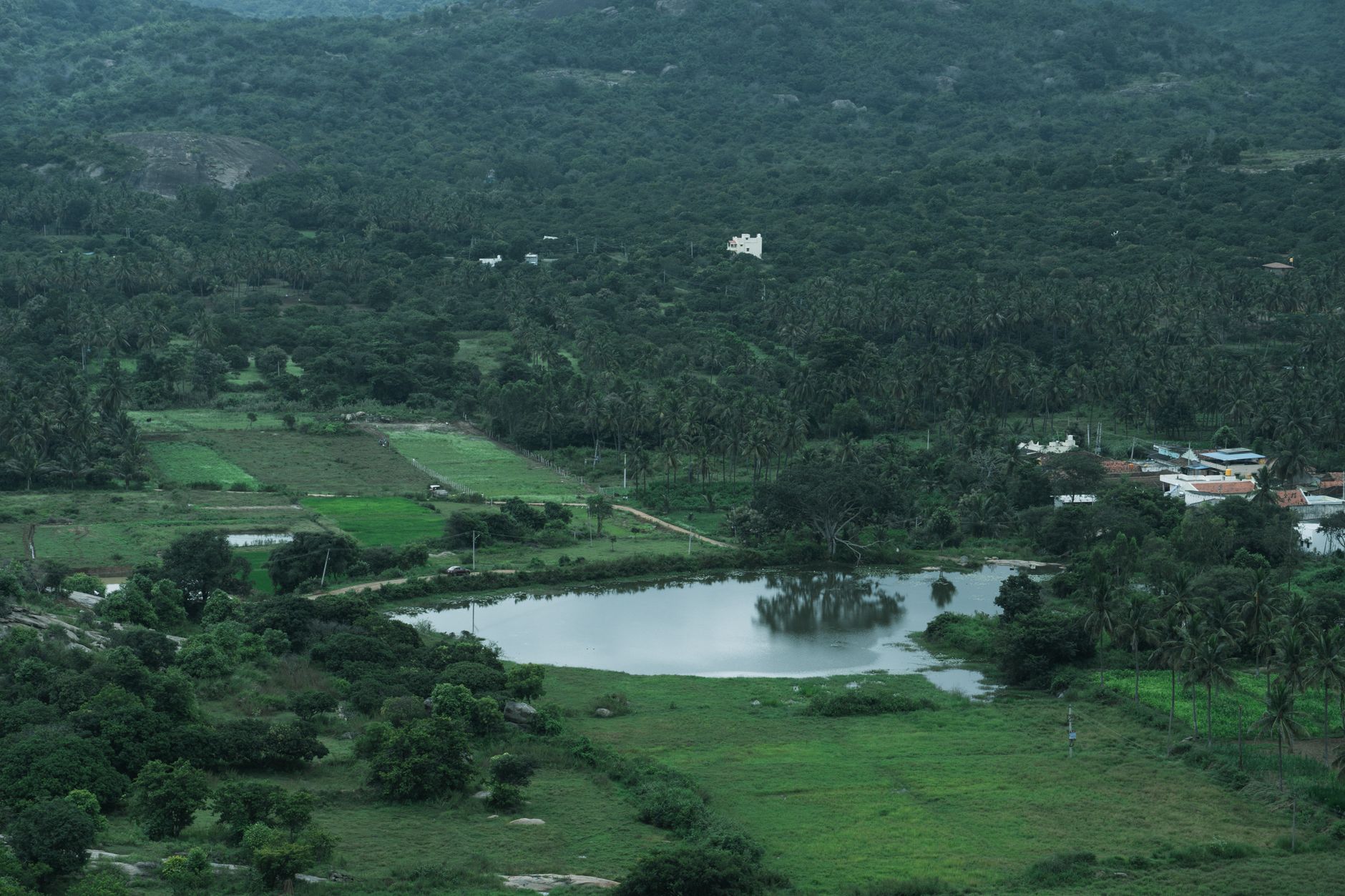 NABARD and NSDC Launch Gramodyam for Rural Entrepreneurs