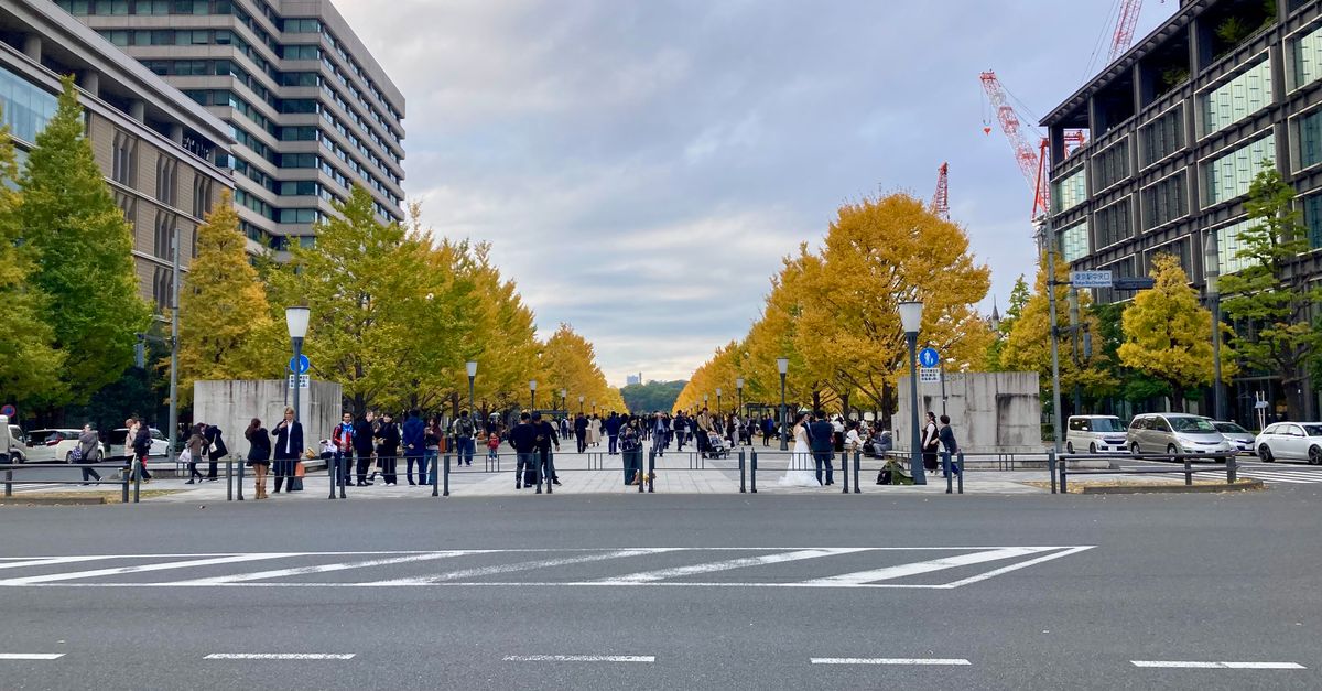 皇居附近高評價大學排名解讀及在日華人家庭應對建議 皇居附近高評價大學排名解讀及在日華人家庭應對建議