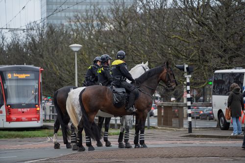 Free Mounted police officers on patrol in an urban setting with public transportation visible. Stock Photo