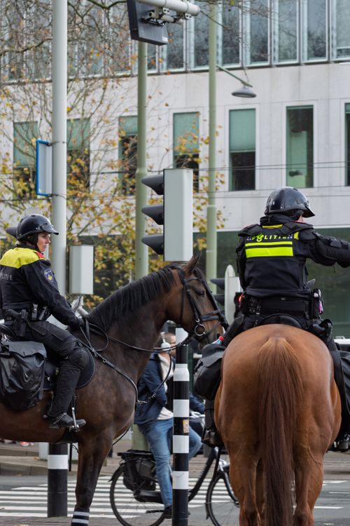 Free Two mounted police officers oversee street activity in a city during the day. Stock Photo