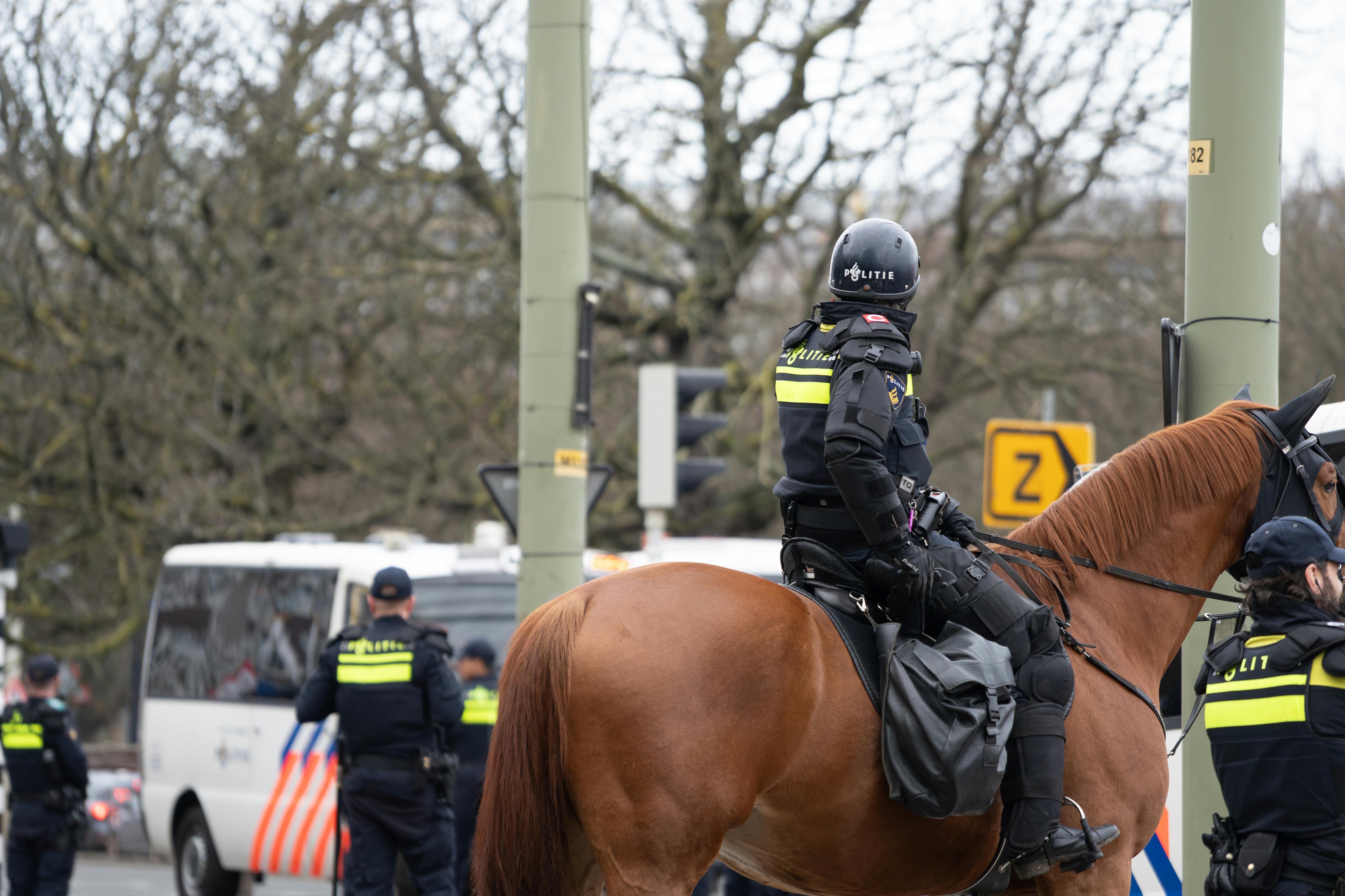 DAILY NEWS WEEKLY : Florida judge's harsh sentence over jury duty & man sues over wife's affair