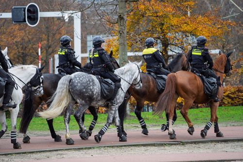 Free Mounted police officers on horseback patrolling a park during autumn. Stock Photo