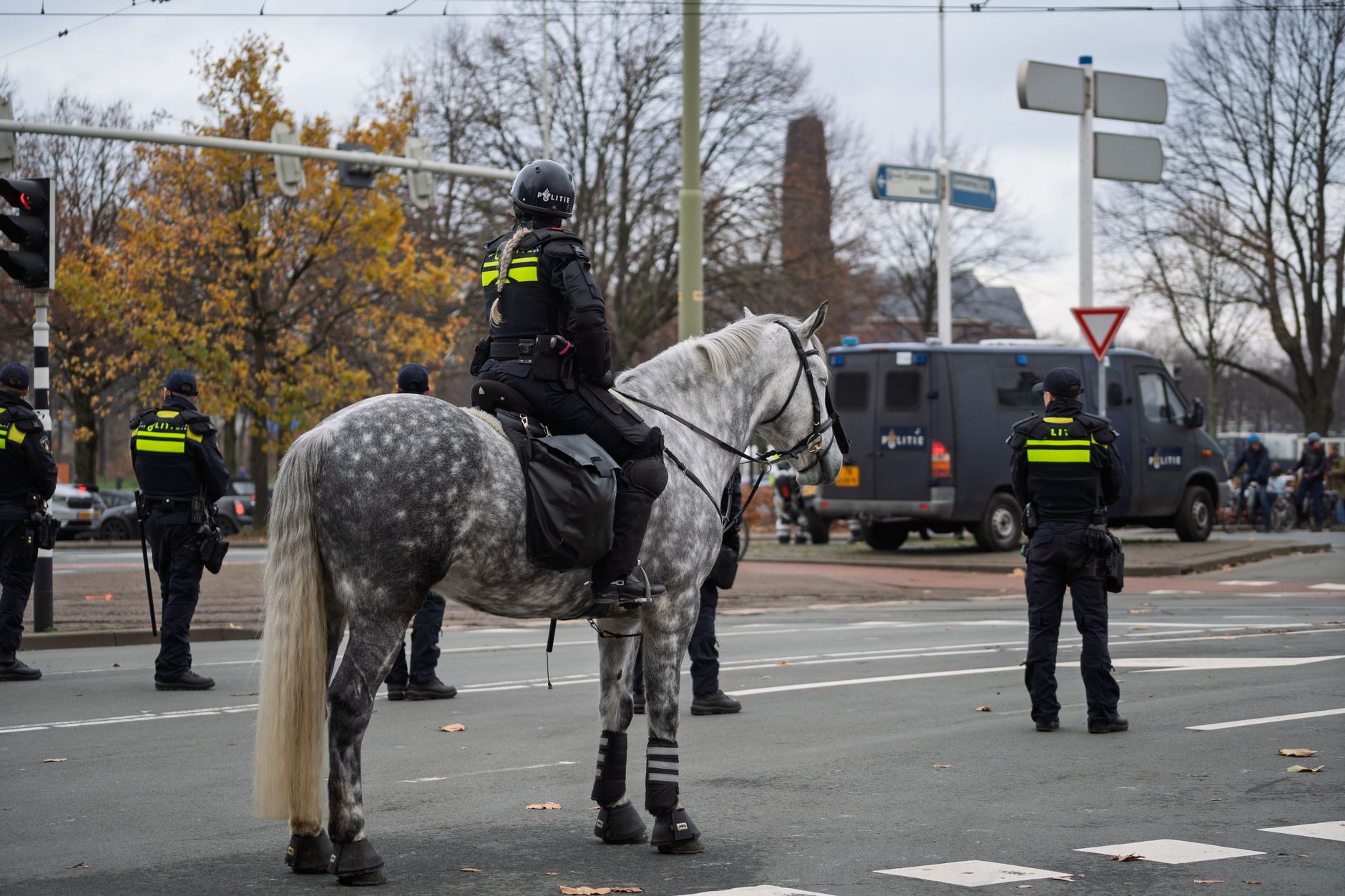 Hollanda'da çevik kuvvet polisi