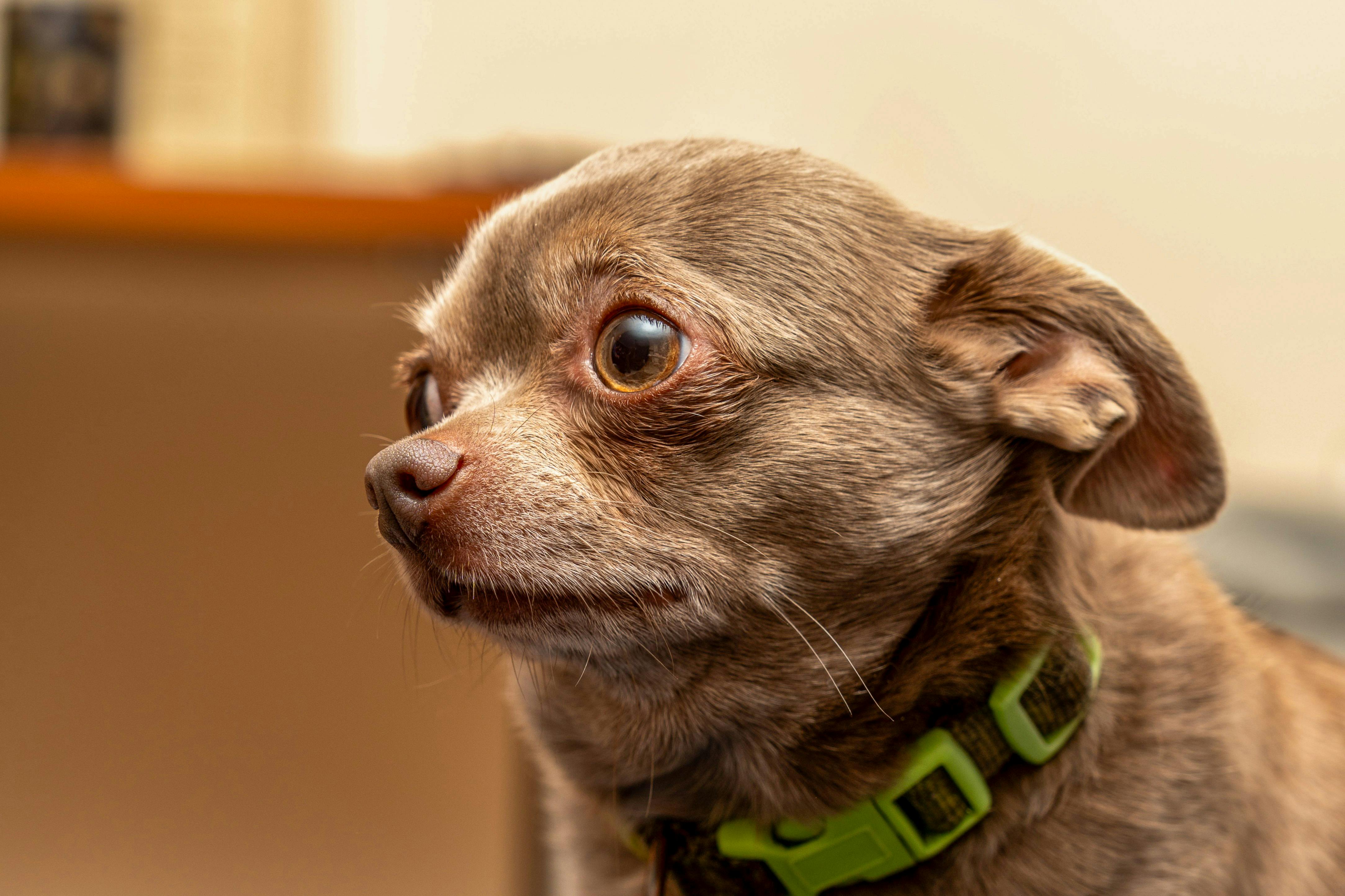 In My Area Cd Replication