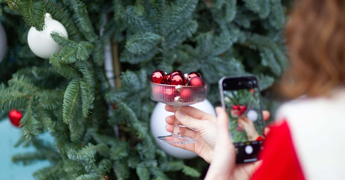 2025高雄聖誕生活節首波卡司揭曉,精彩活動搶先看