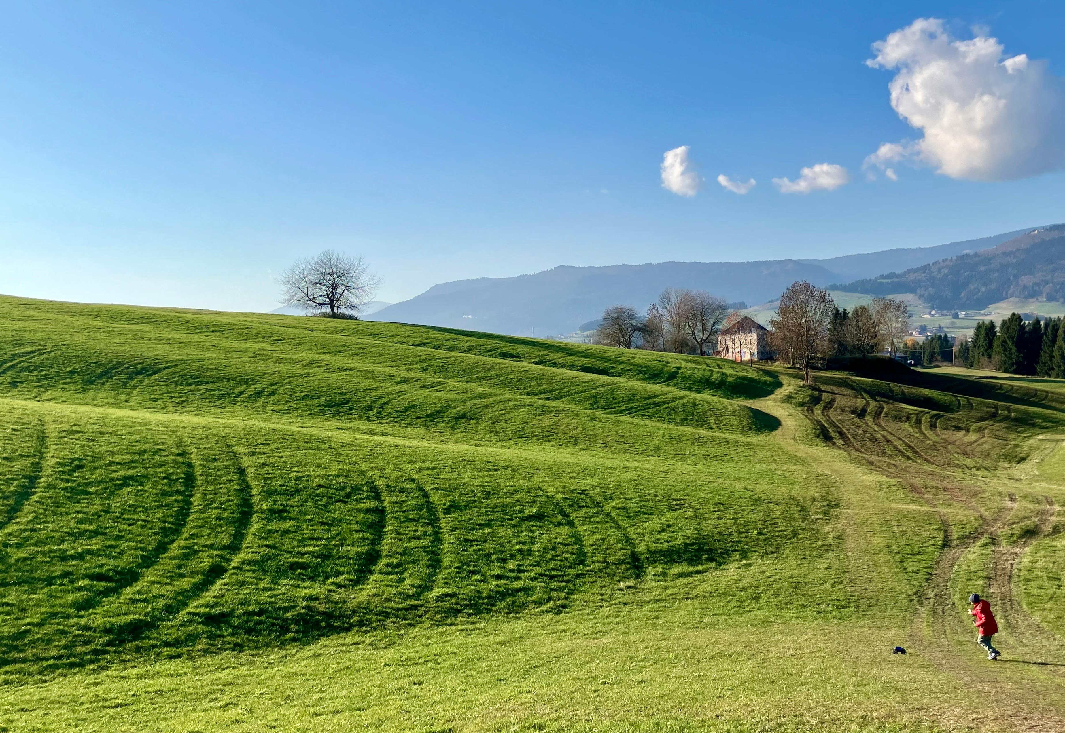 政治：秋鬥大遊行反戰訴求 籲賴政府停止無條件軍購