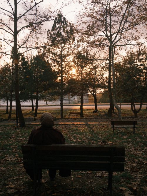 Free A solitary figure sits on a bench in an autumn park at sunset. Stock Photo