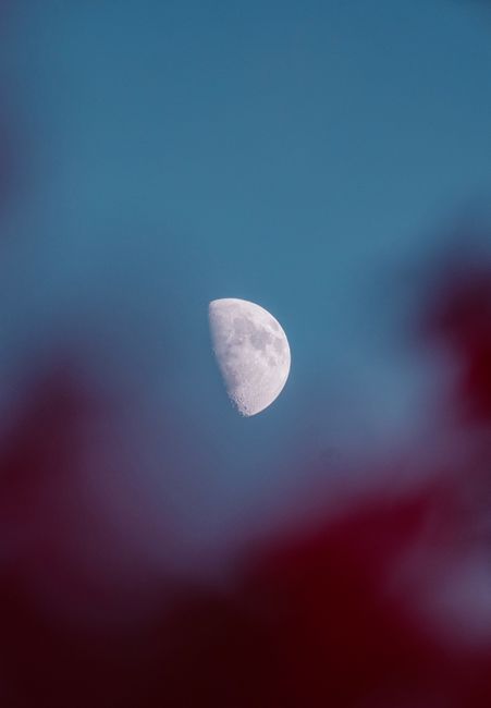 A stunning capture of the half moon against a clear blue evening sky with subtle pink hues.