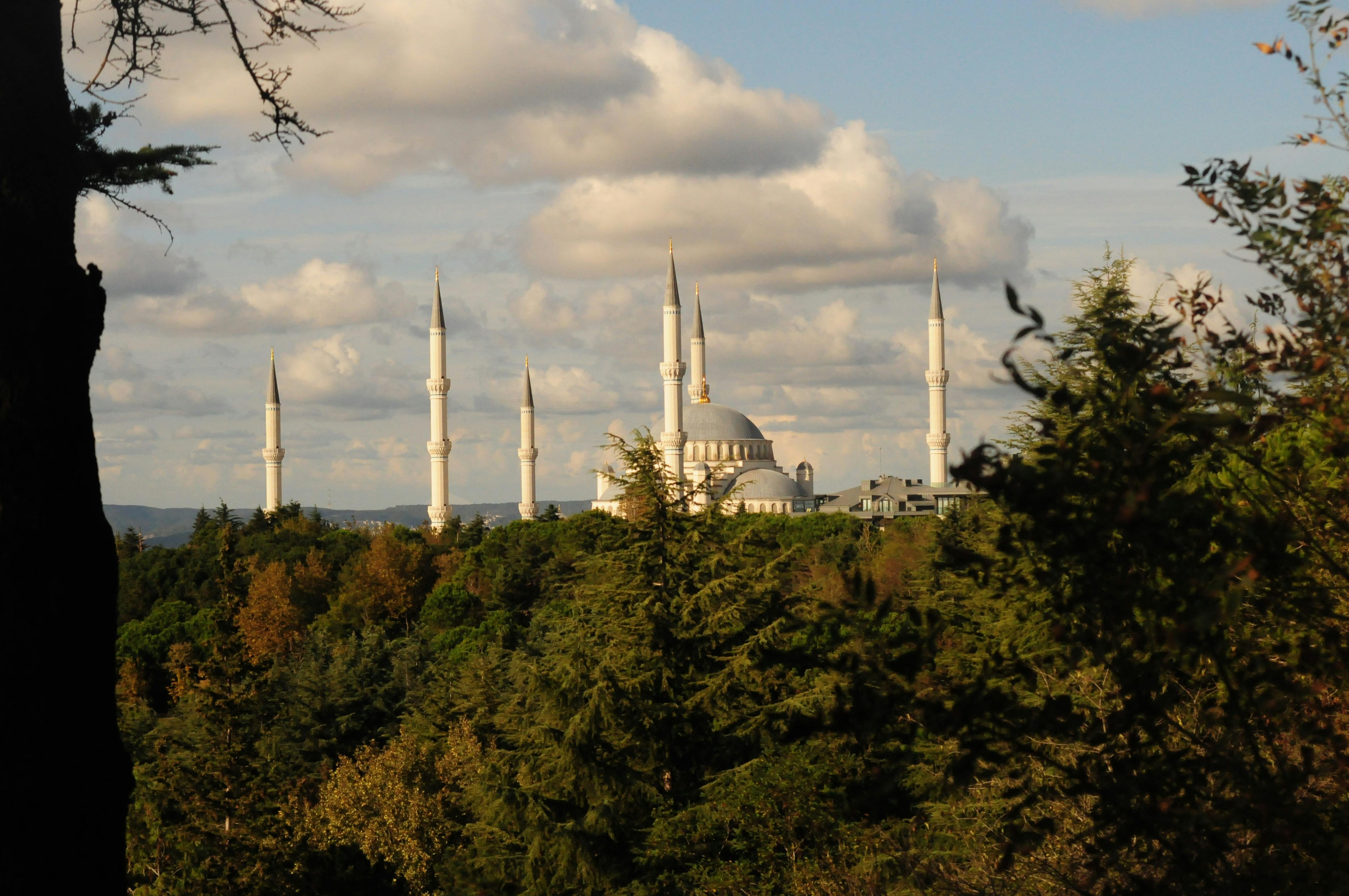 政治：秋鬥大遊行反戰訴求 籲賴政府停止無條件軍購