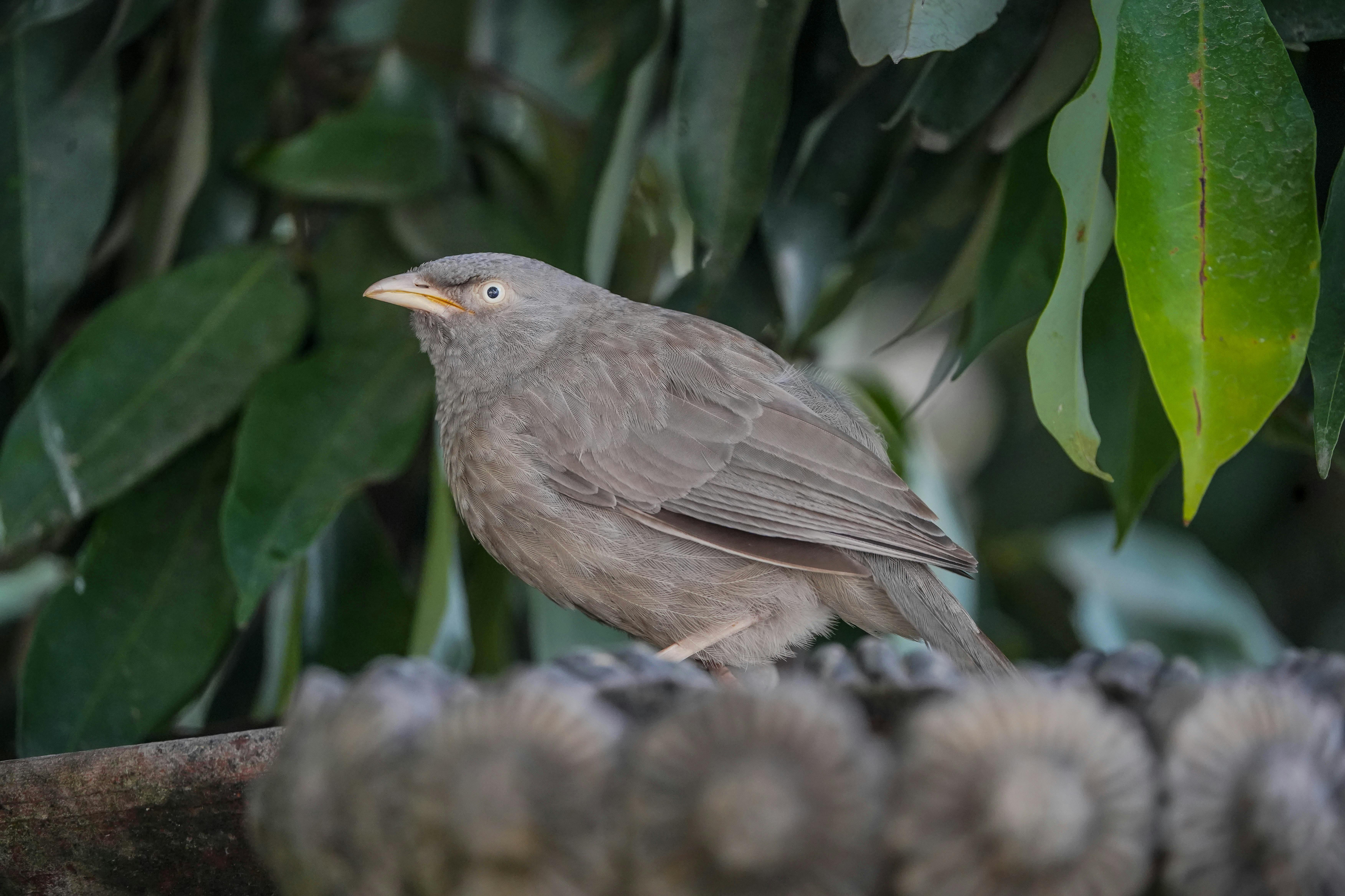 政治：秋鬥大遊行反戰訴求 籲賴政府停止無條件軍購