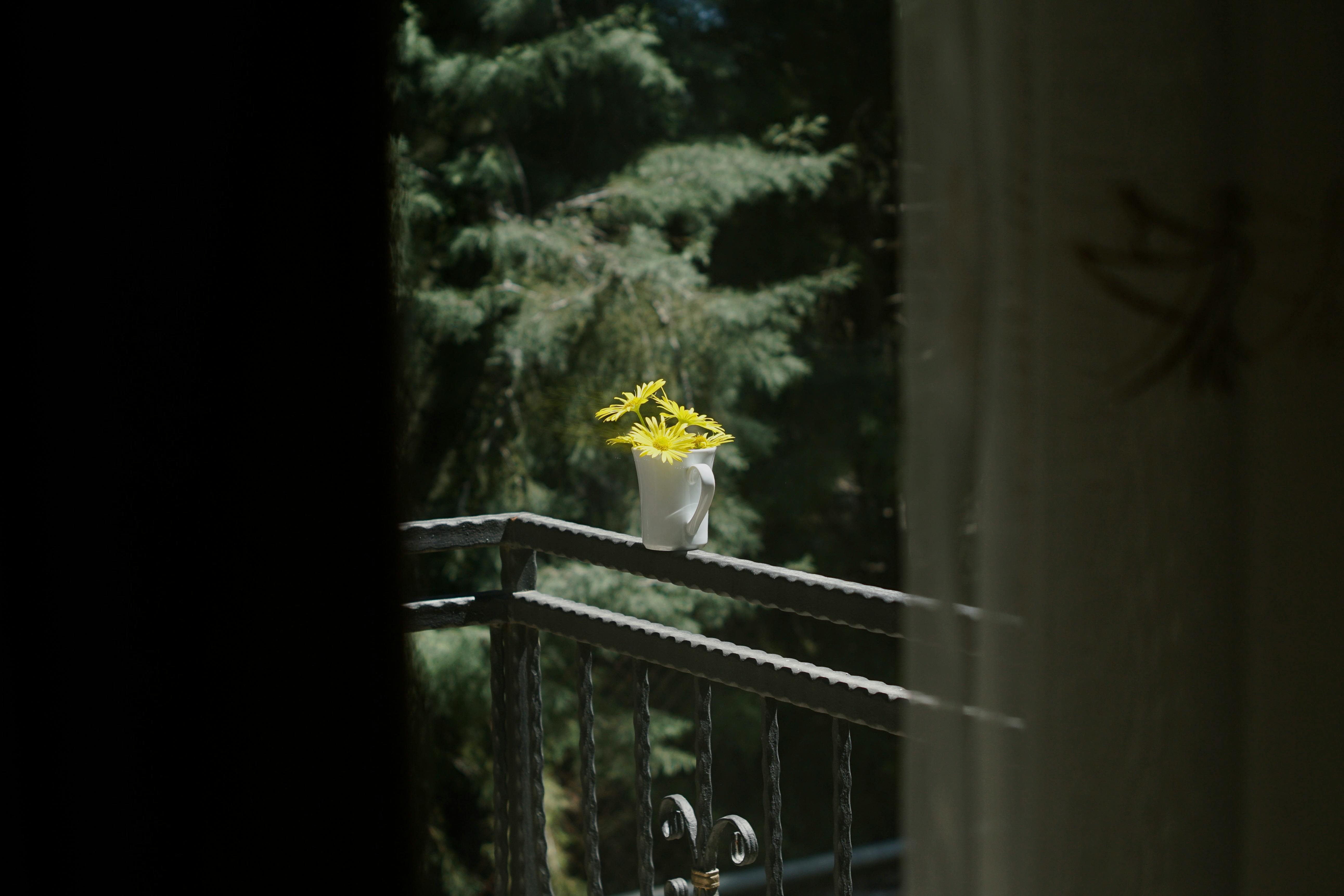 Cum să transformi balconul într-un spațiu relaxant și funcțional
