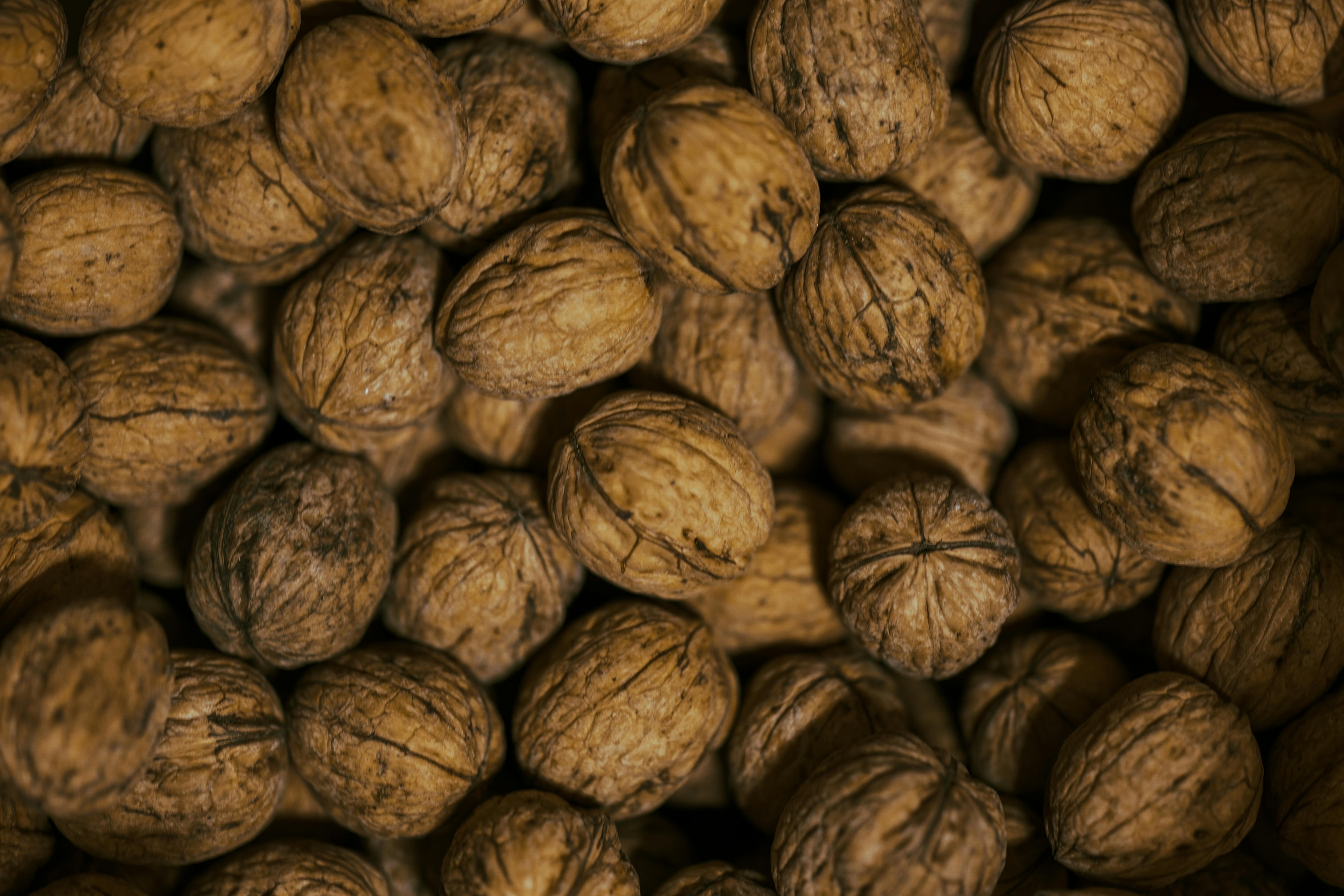 Ultimate Guide to Plant-Based Proteins