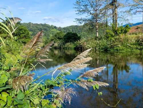 Free A serene river reflecting lush greenery and blue sky in Kon Tum, Vietnam. Stock Photo