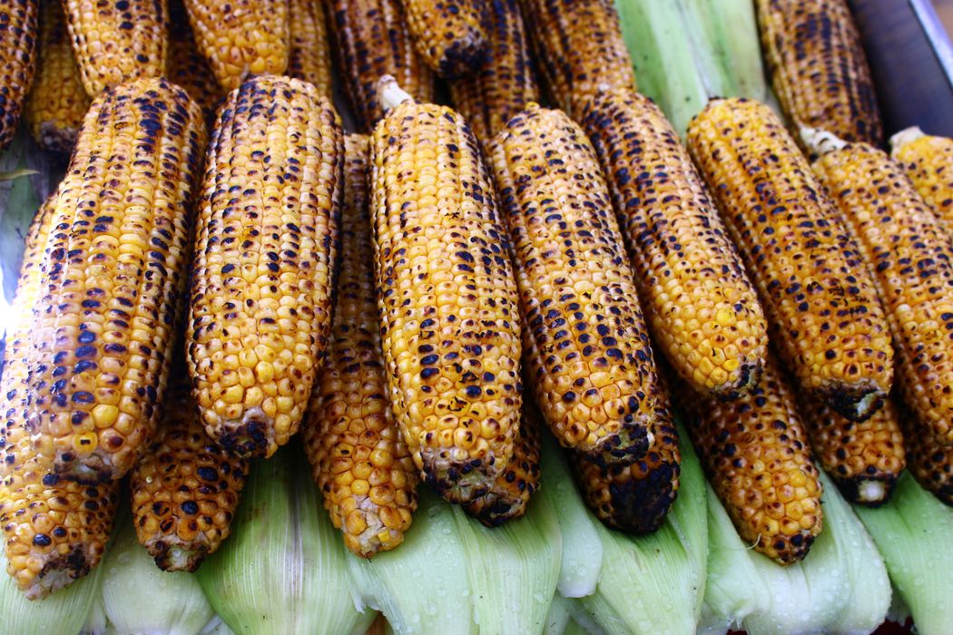 Grilled Corn Ribs