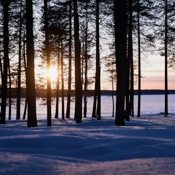 Serene winter sunset view through forest trees over a frozen lake in Lappland, Finland.