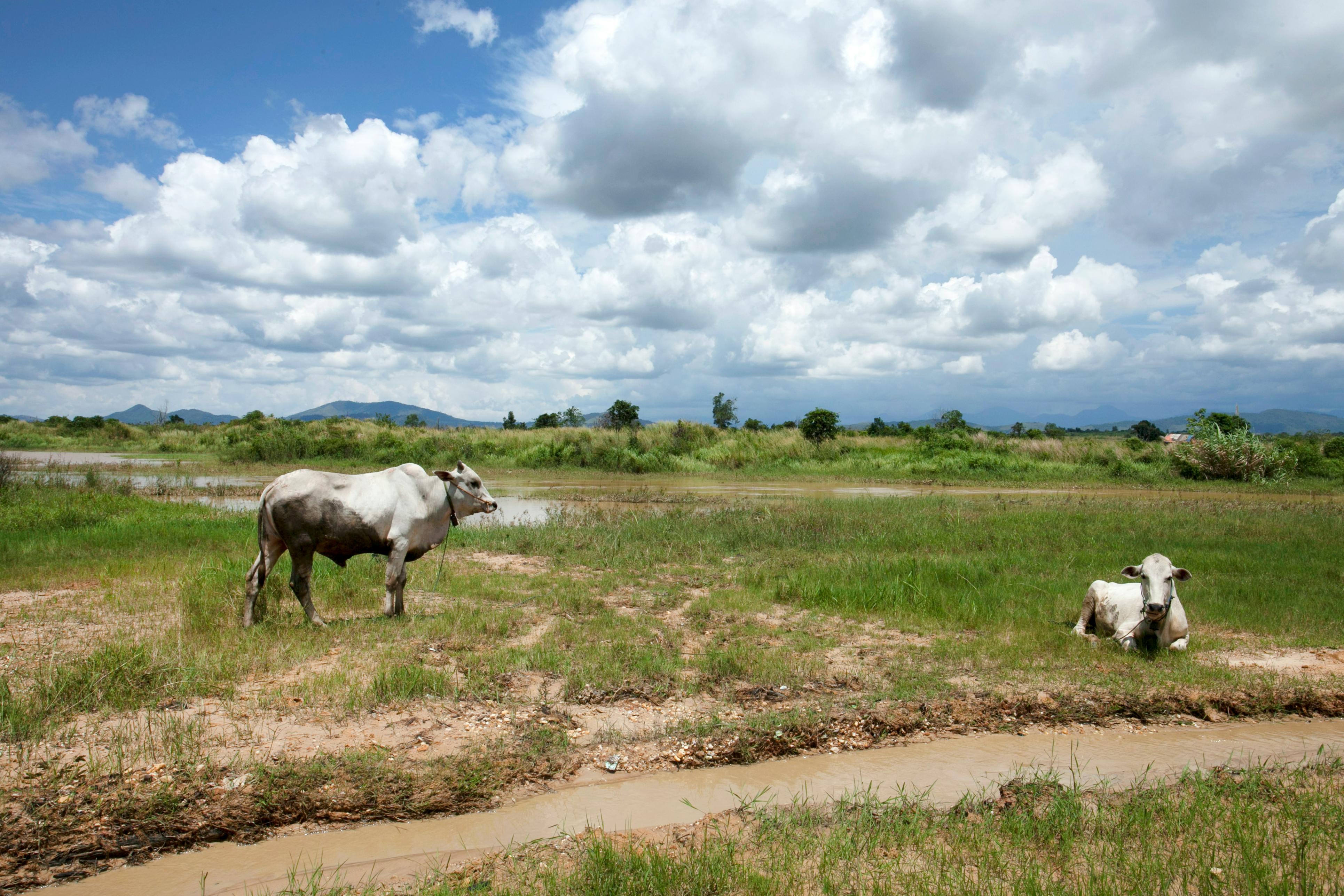 國際：野村CEO承諾強化利潤復甦，推動財富與資產管理高成長