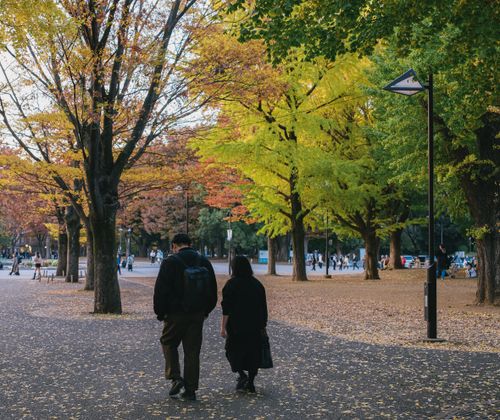 Free A couple walks through a scenic park with vibrant autumn leaves. Serene fall scene. Stock Photo