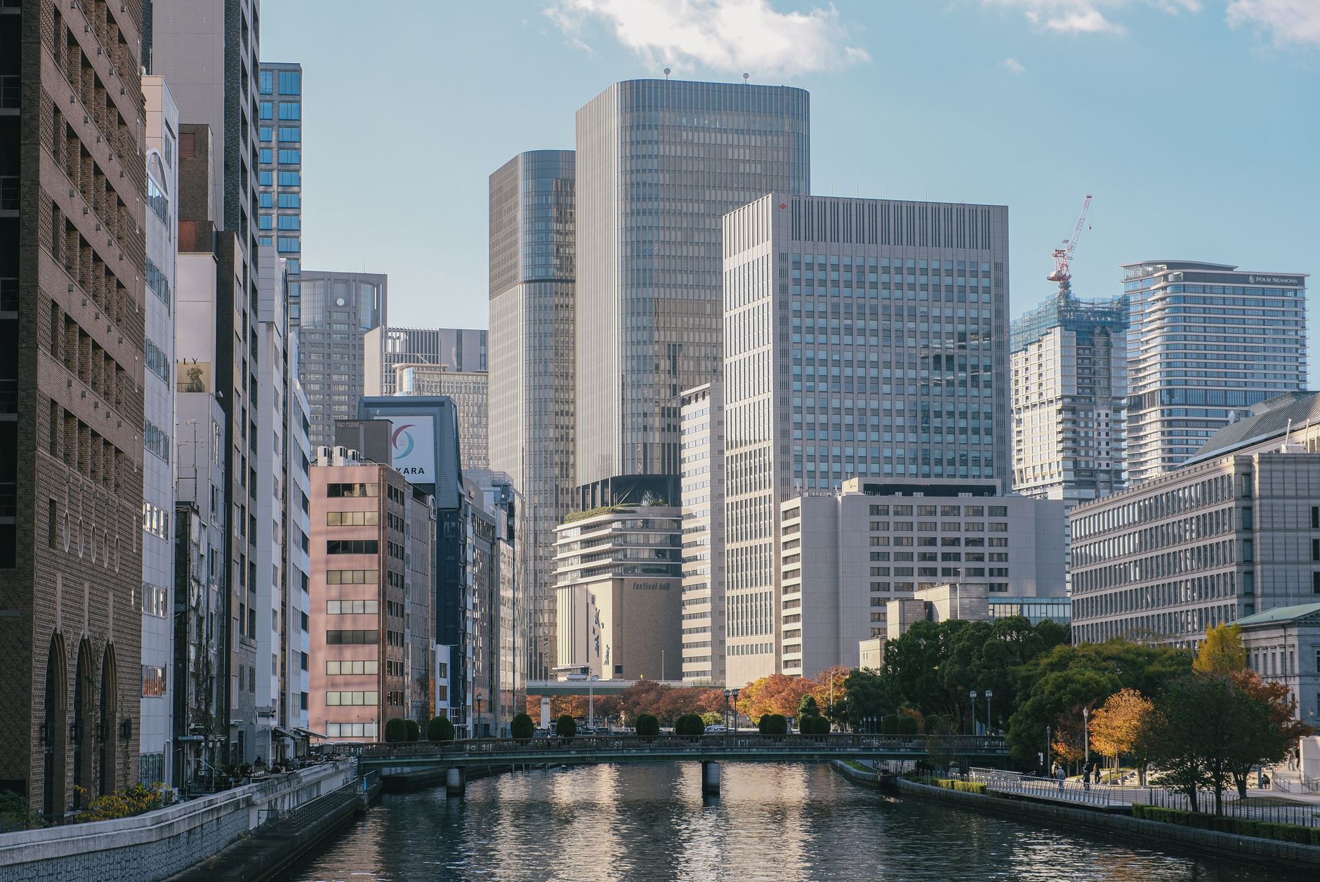https://images.pexels.com/photos/34991541/pexels-photo-34991541.jpeg?auto=compress&cs=tinysrgb&dpr=2&h=650&w=940