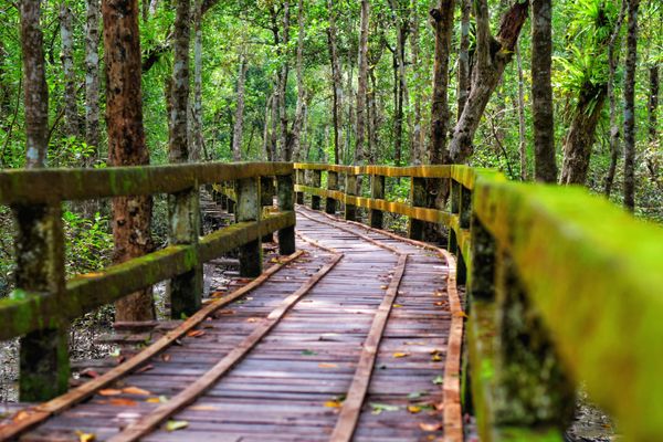 Magical Meghalaya – Shillong, Mawlynnong & Cherrapunji - 6 Nights / 7 Days - Stays