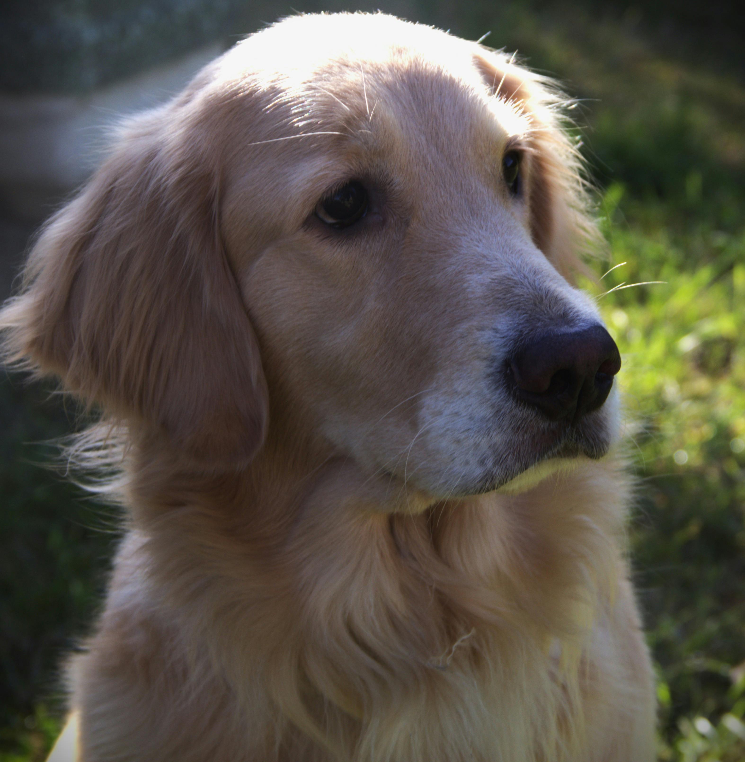 Idle+(Python+3. Photos, Download The BEST Free Idle+(Python+3. Stock ...