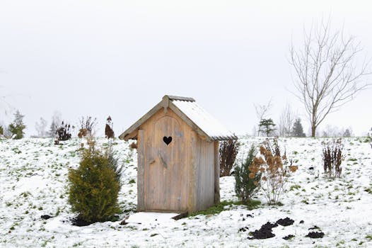 Charming wooden outhouse with heart-shaped cutout surrounded by snow and winter landscape.