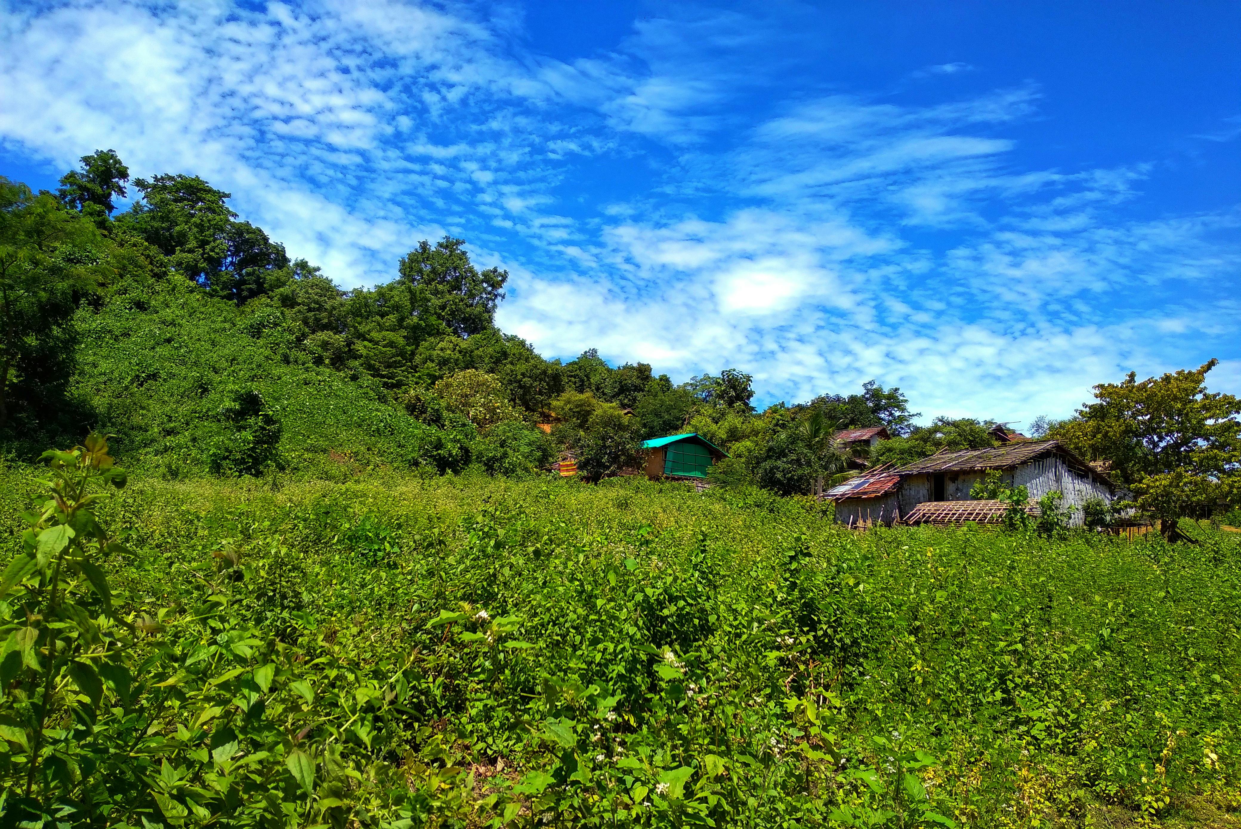 財經：中航雙題材加持 股價逆勢走高引市場關注