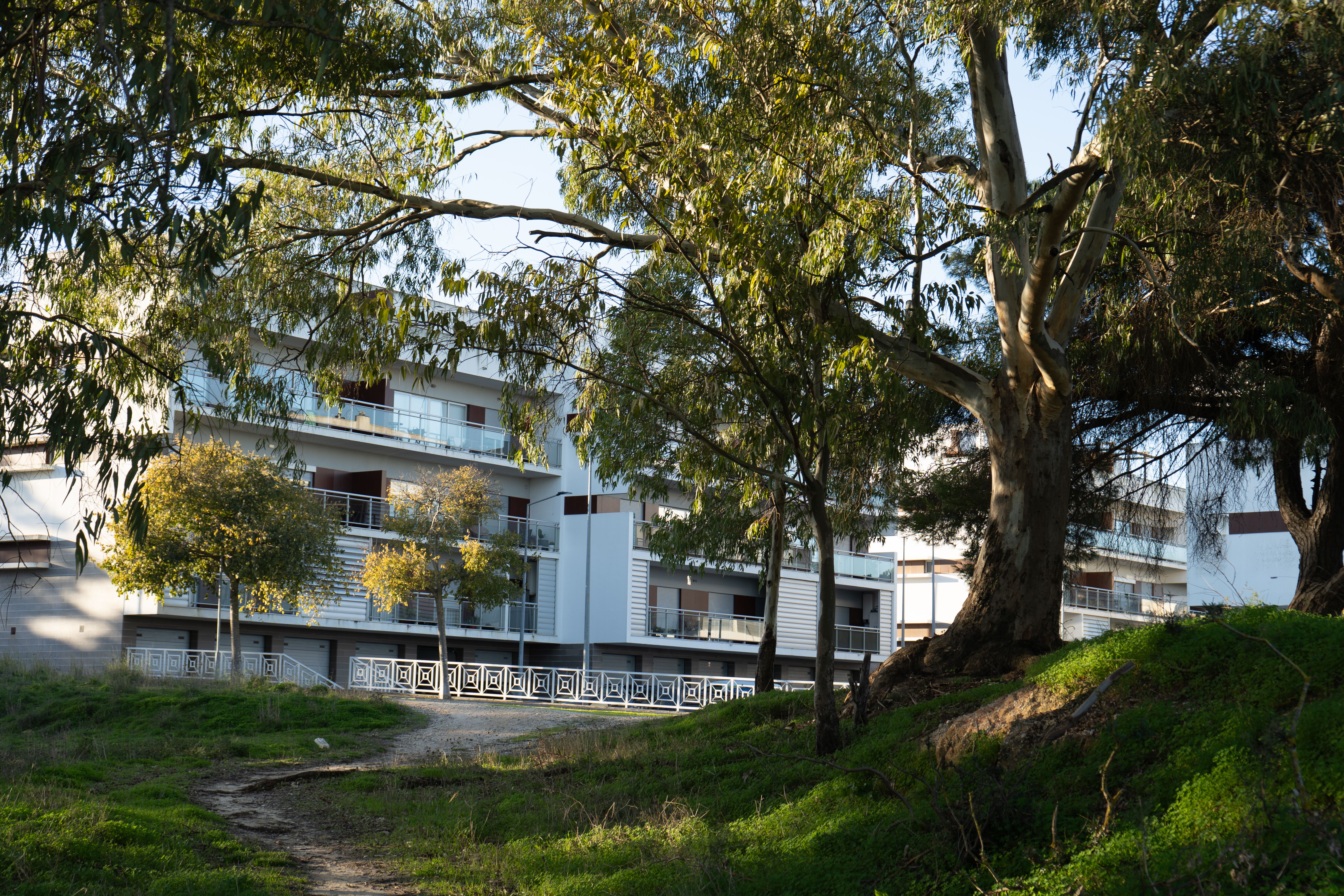 From Bergenfield to Beit Shemesh: Herrmann Property Management Understands Both Sides — Photo by Junior Diniz PHOTOGRAPHER IN