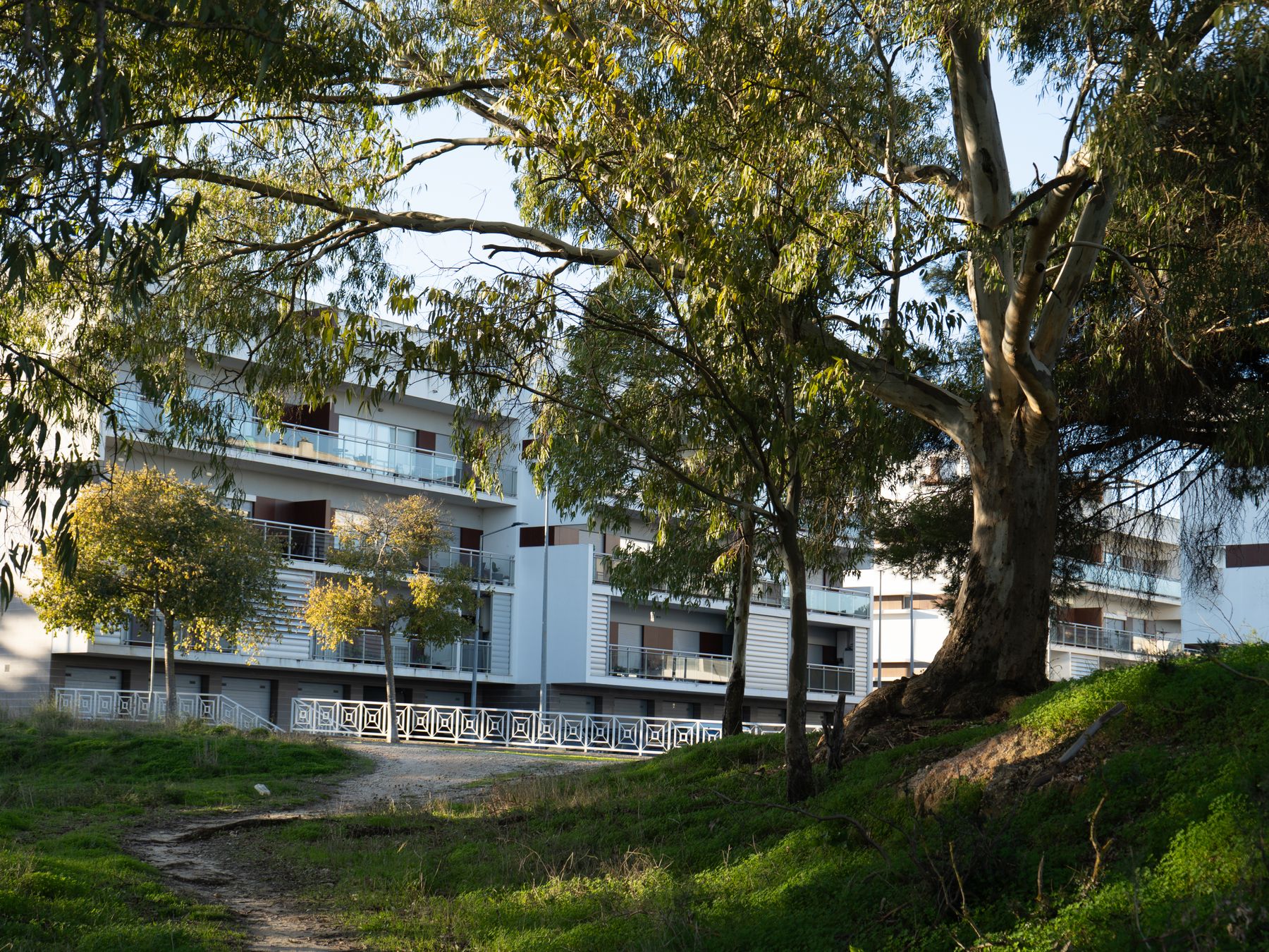 Fenstanton — student move with boxes and a van
