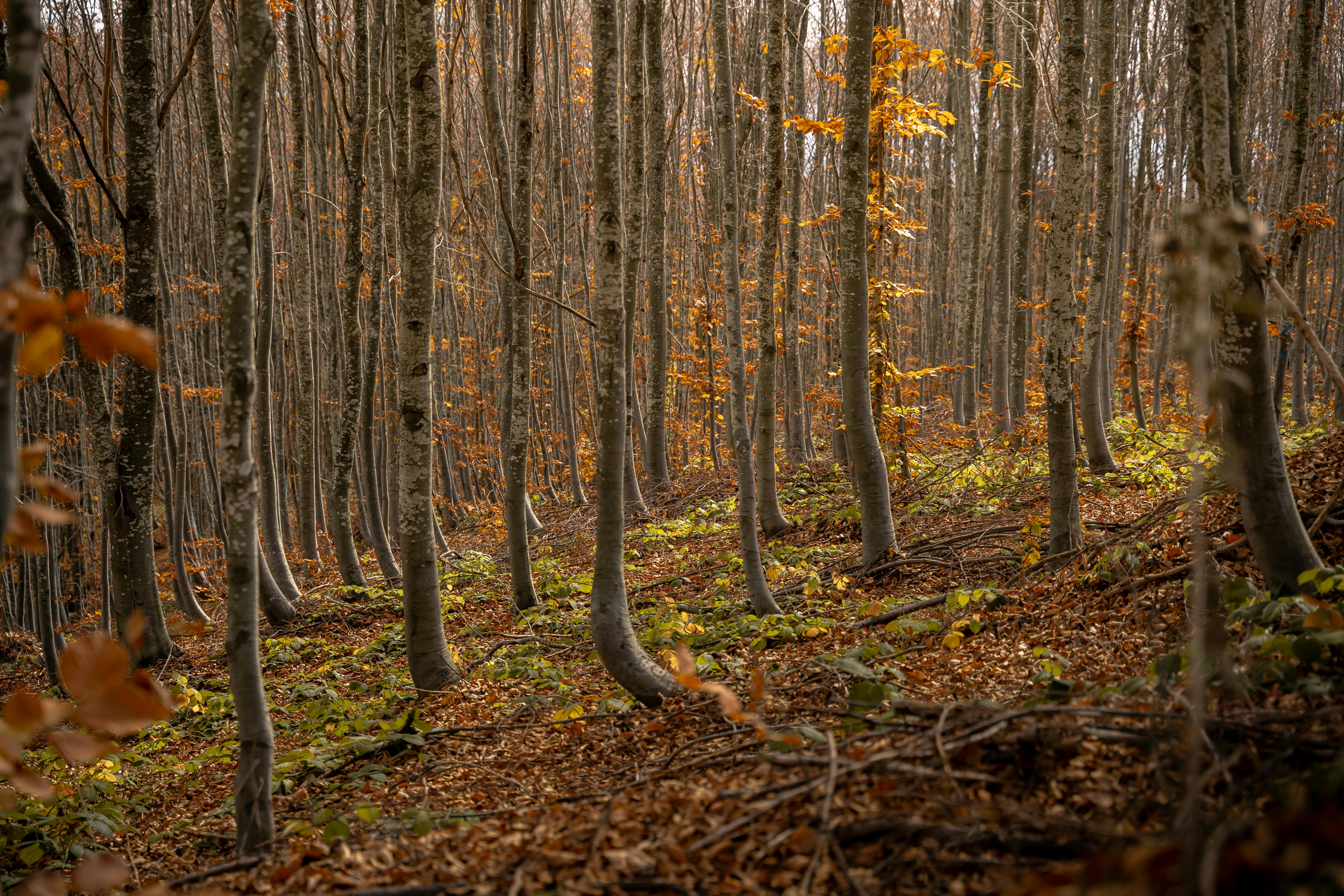 Jaw-Dropping Climate Innovation Breakthroughs