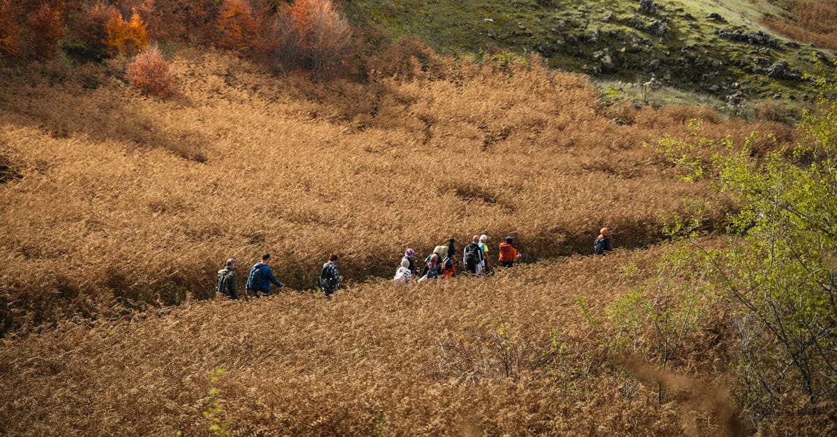 生活:健走活動推廣癌症防治 促進早期發現與治療