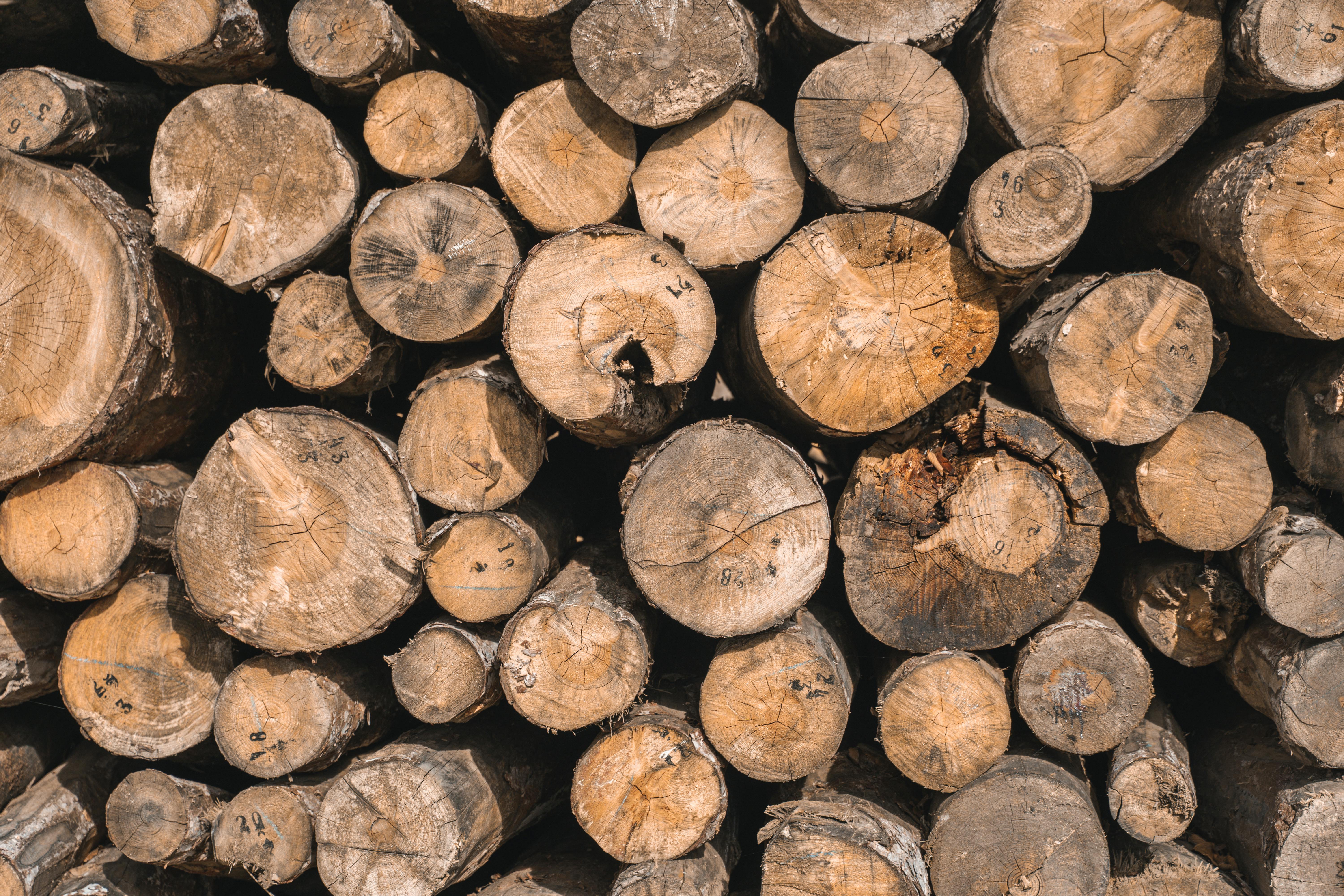 國際：野村CEO承諾強化利潤復甦，推動財富與資產管理高成長