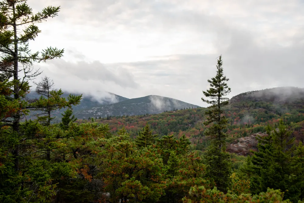 Spruce and autumn hardwoods below misty granite hills in the Maine woods Spruce and autumn hardwoods below misty granite hills in the Maine woods