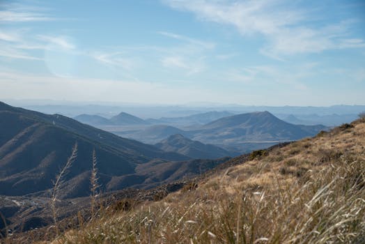 Scottsdale, United States photo 4