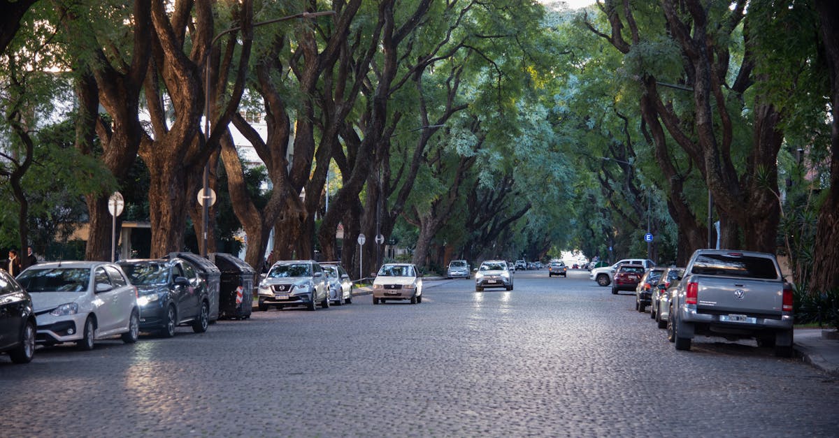 科技:保加利亞成為中國車企拓展歐洲市場的重要節點