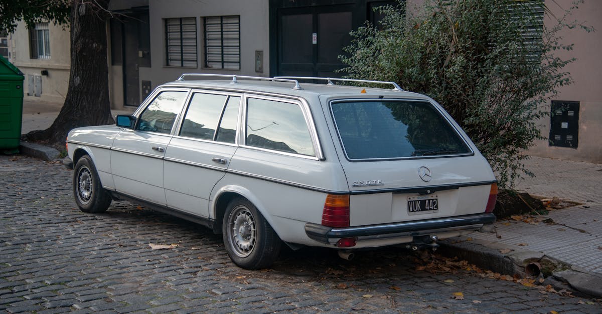 科技:保加利亞成為中國車企拓展歐洲市場的重要節點