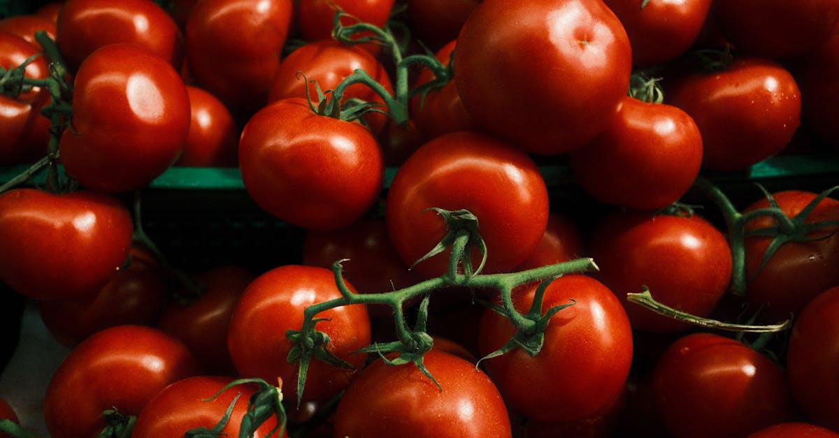 財經:智通港股通12月1日活躍成交解析與市場動向