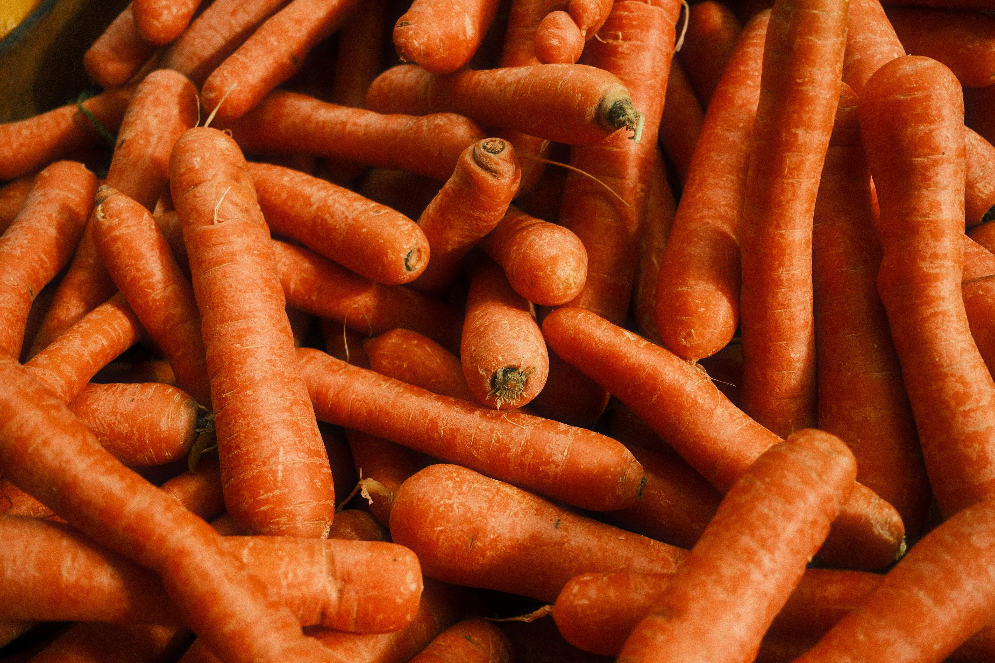 財經：智通港股通12月1日活躍成交解析與市場動向