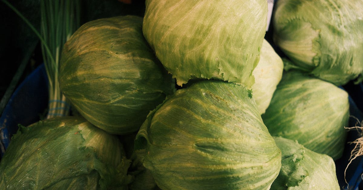 財經:智通港股通12月1日活躍成交解析與市場動向