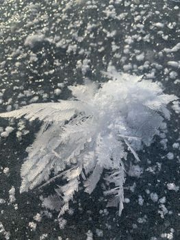 Beautiful close-up of feathery ice crystals on a cold surface, highlighting delicate natural patterns.