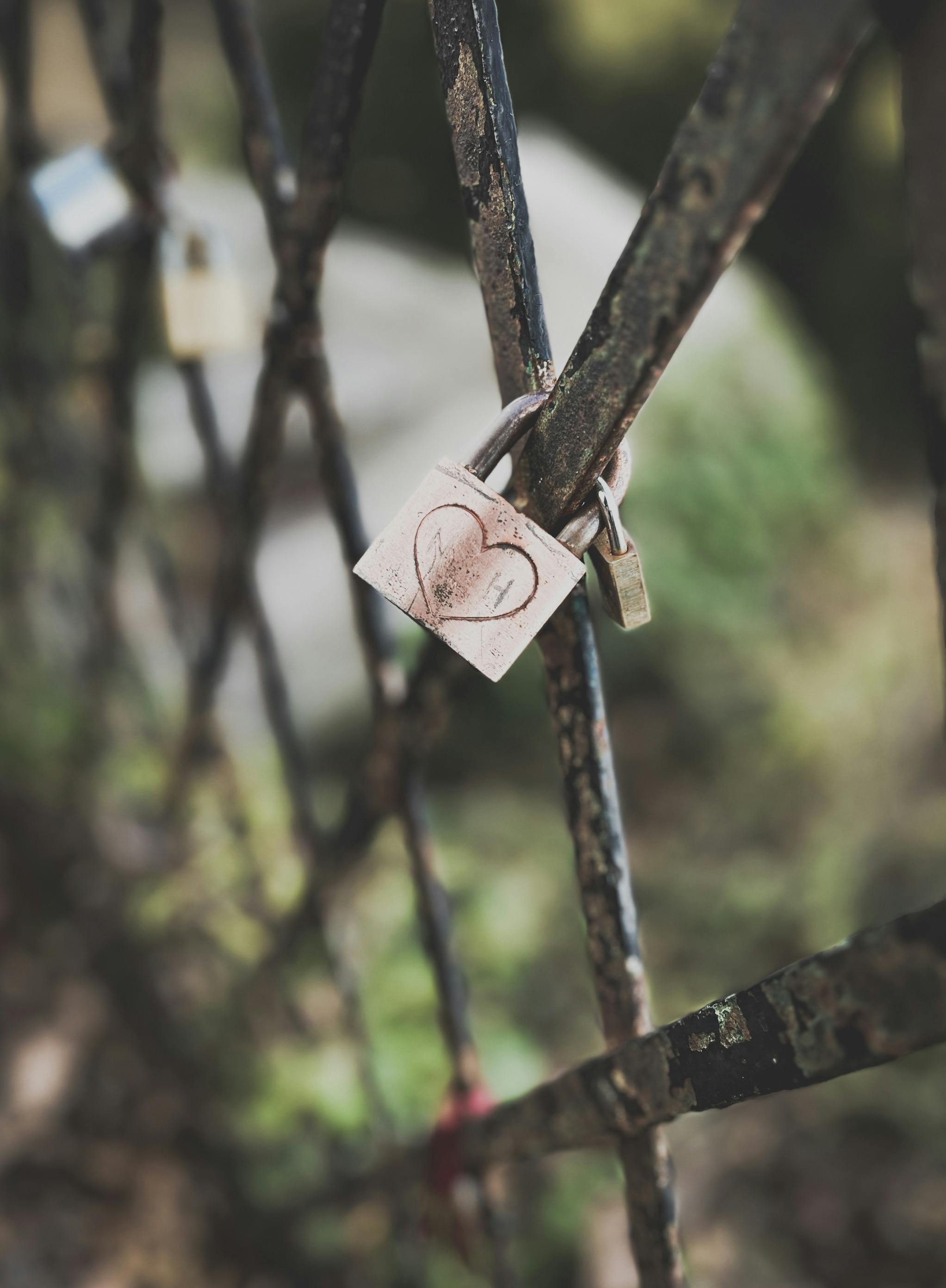 A symbolic love padlock attached to a metal fence, representing lasting affection and commitment.